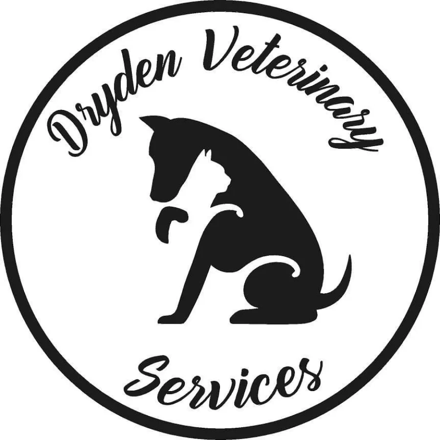 Veterinarian