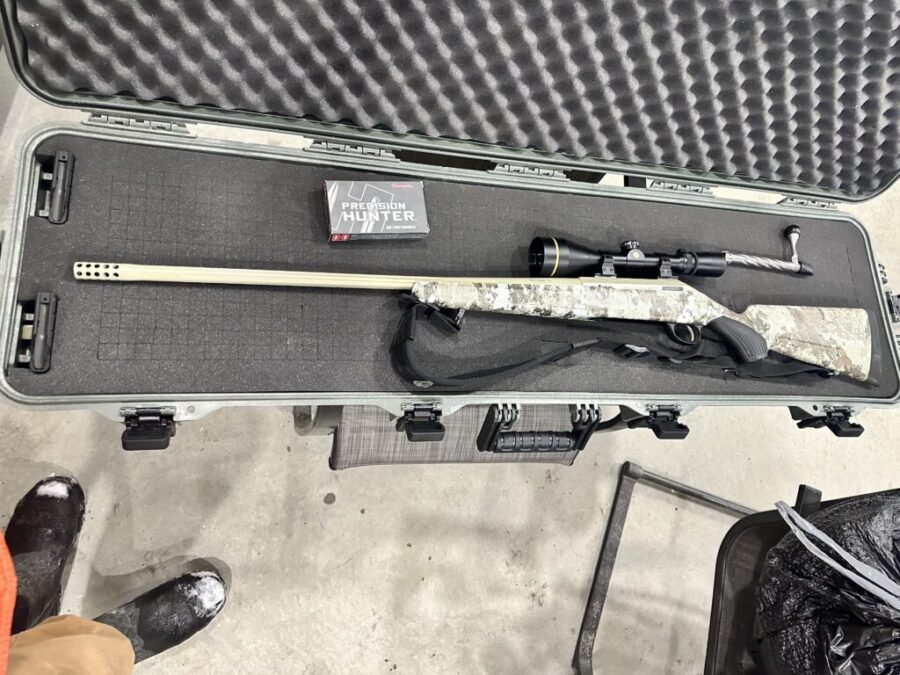 Tikka t3x true north