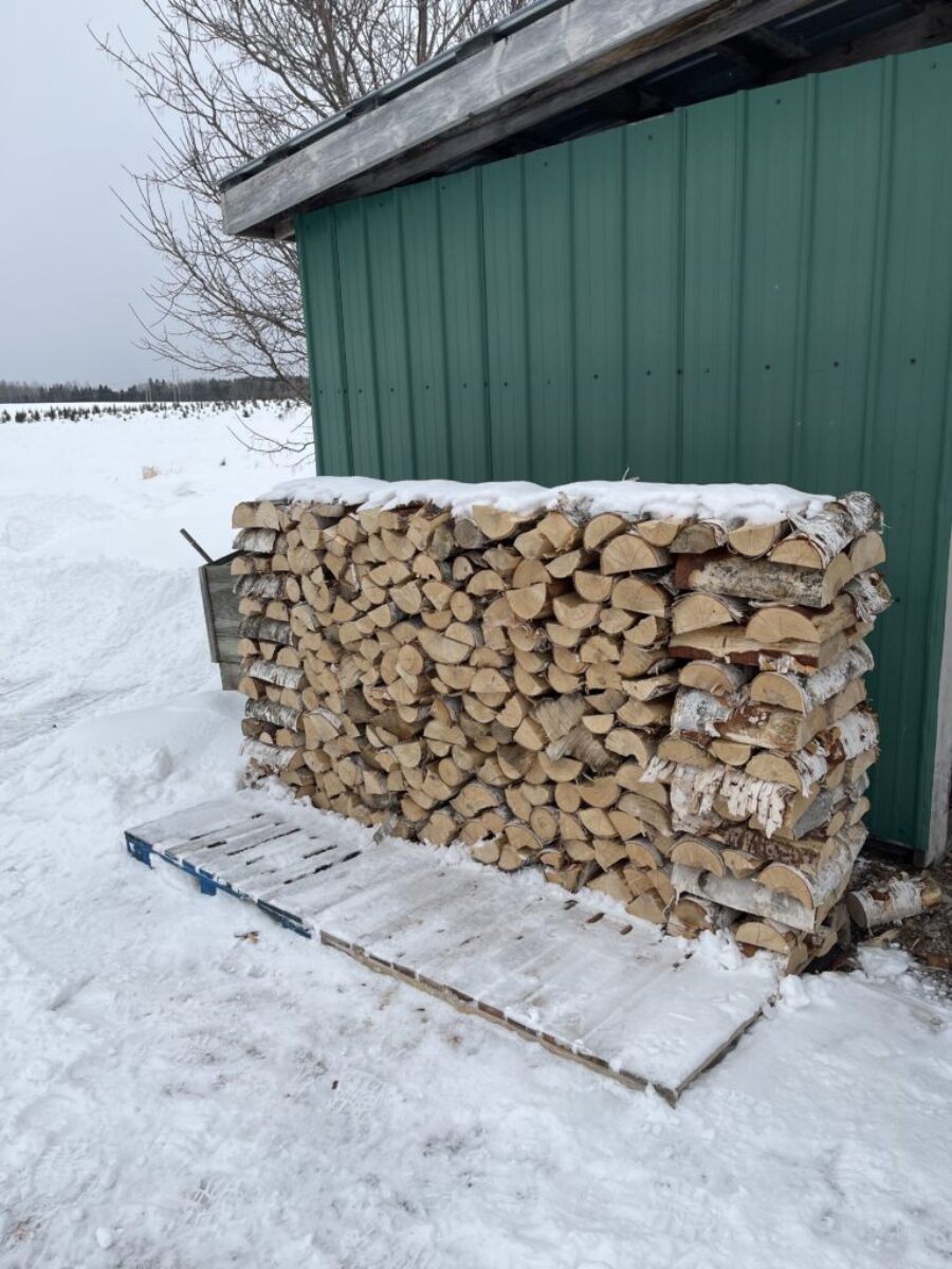 Birch firewood