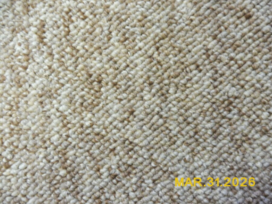 GOOD CONDITION CLEAN CARPET