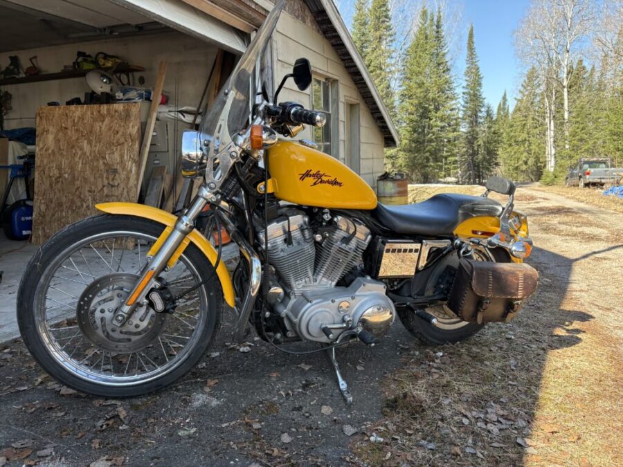 2000 Harley Davidson 883 custom sportster