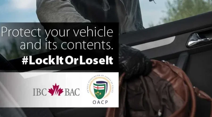 Lock It Or Lose It