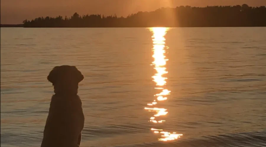 The View Is Spectacular For Everyone