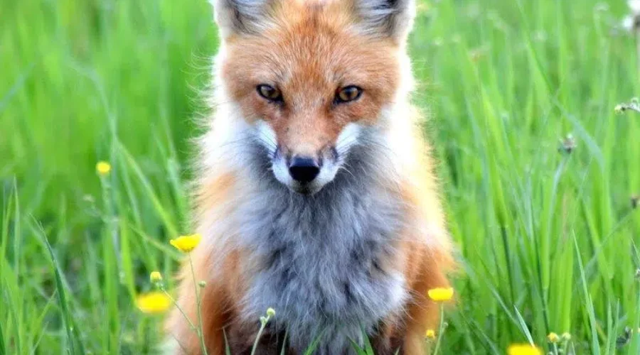 Looking At You!