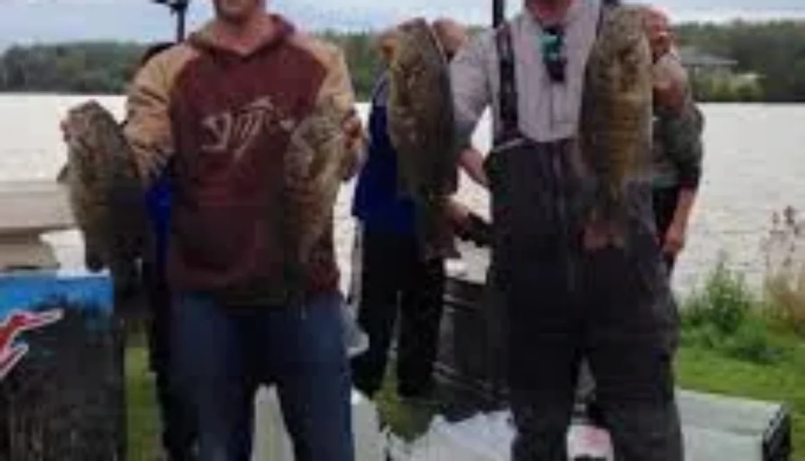 bass3-1
