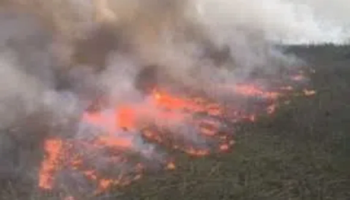 firesjluy8th-2-1