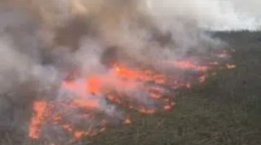 Only One Fire Considered Not Under Control