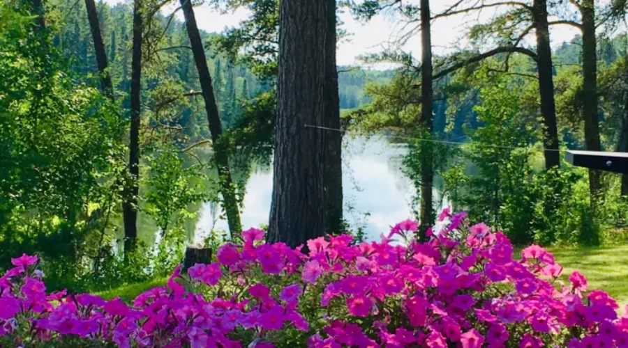 A Piece Of Paradise In Eagle River