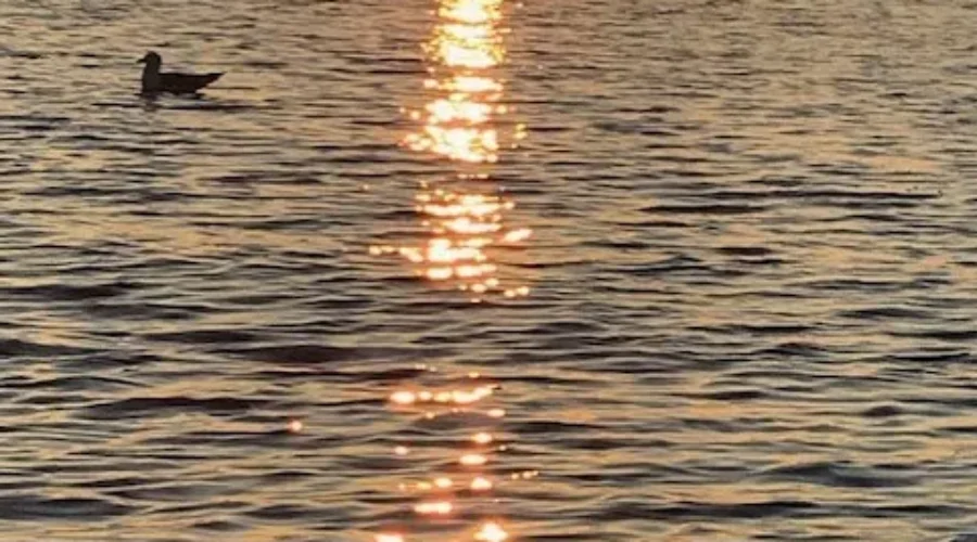 Summer Nights Are Winding Down