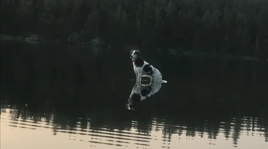 Walking On Water……Sort Of