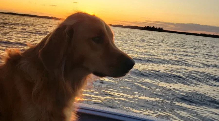 Going For a Ride