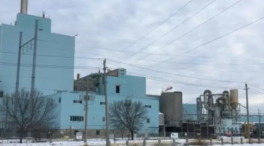 Cannabis Production Facility Possible For Idled Fort Frances Mill