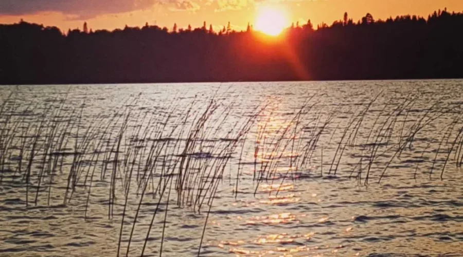Tiana-Korobanik-Botsford-Lake-in-Sioux-Lookout-Goose-taking-a-late-night-swim-at-camp-1 It’s Not The Loch Ness Monster – It’s ‘Goose’