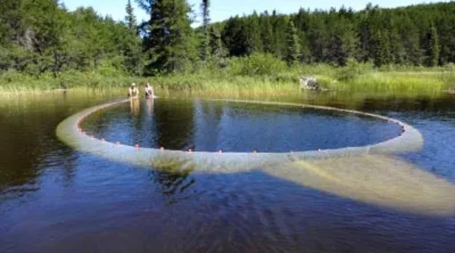 ela-1 Federal Money For Experimental Lakes Area