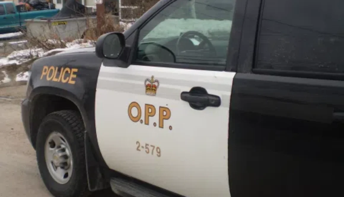opp20suv_13-3