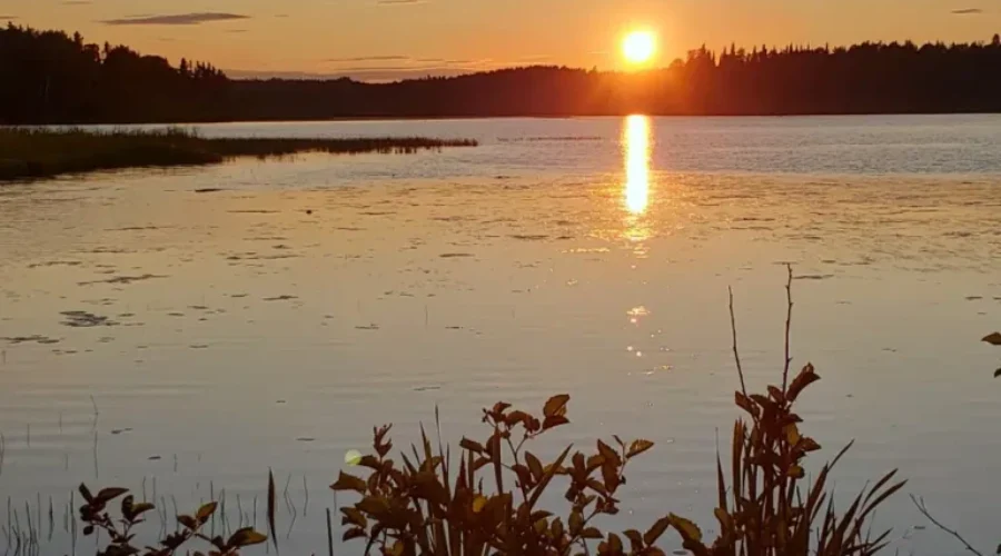 Patti-Spiel-Photo-taken-on-McMillan-Avenue-heading-to-the-Yacht-Club-in-Dryden-1 This Is Sunset Country