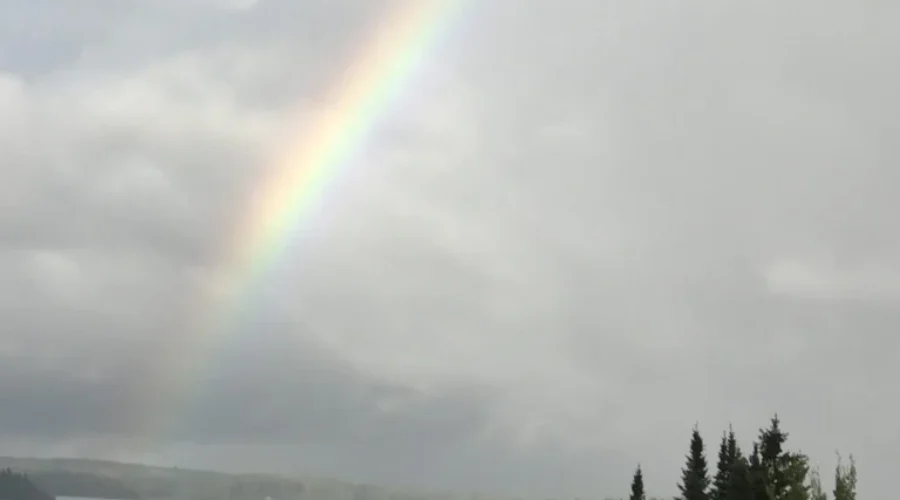Nature’s Beauty – Calm After The Storm