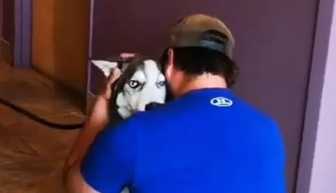 Screenshot-of-video-800x450-2
