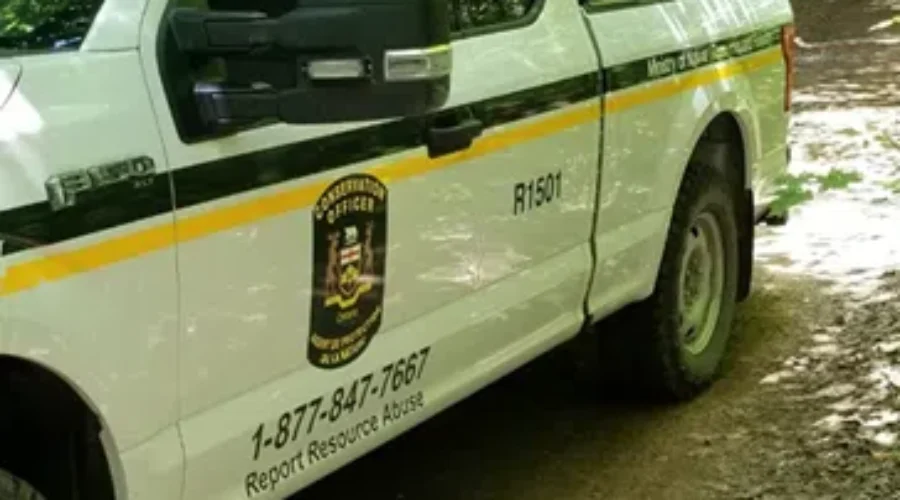 Number Of Fires Continues To Drop