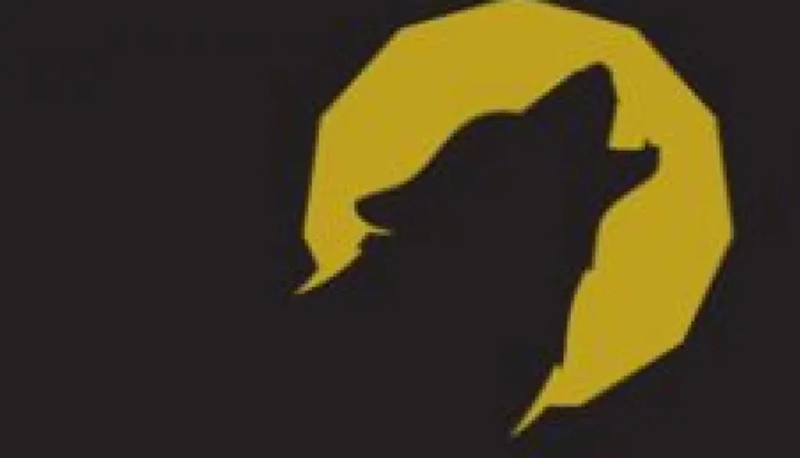 logo-800x450-2