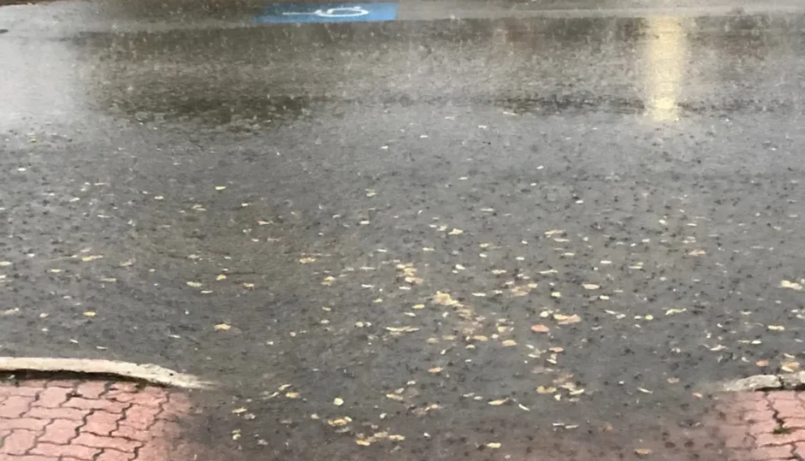 rain-1