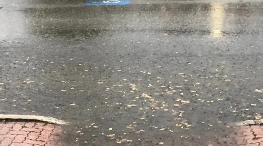 rain-1 Rainy And Warm Tuesday