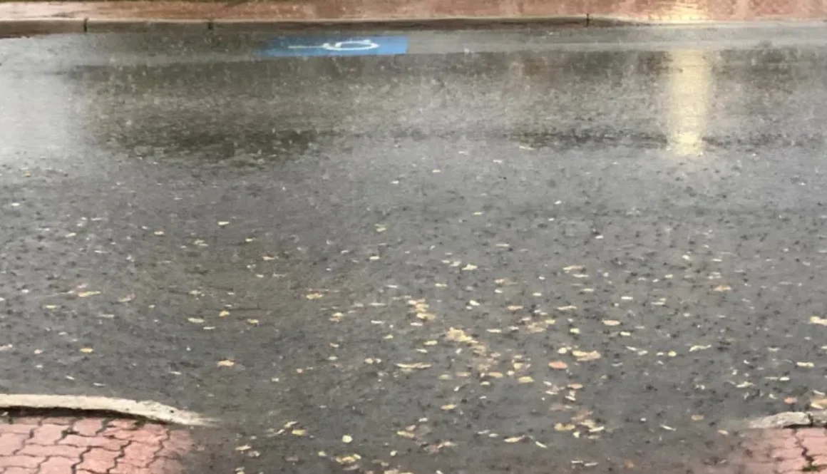rainpic-1