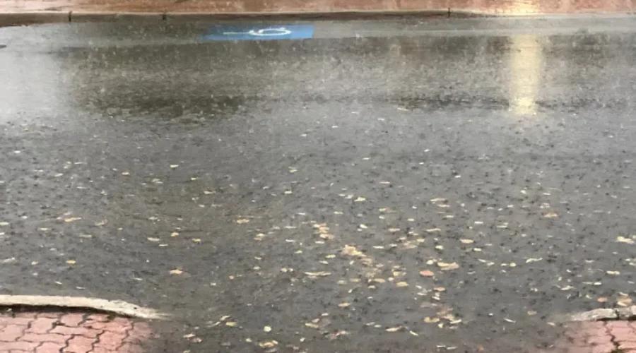 Rain And More Rain!
