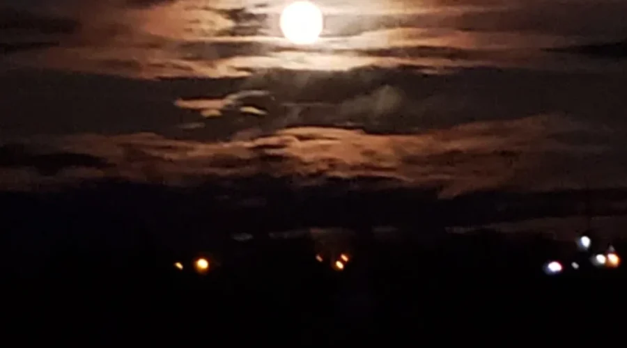 Moonlight