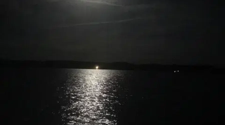 Moonshine