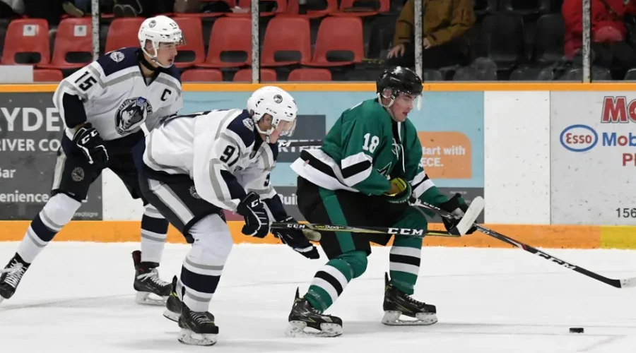 Late Surge Ends Up Short For Ice Dogs