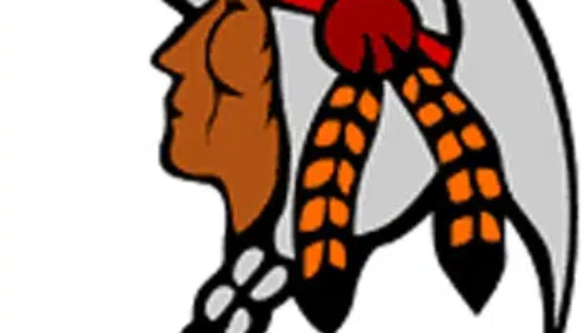 nslfn-tor-nslfn-logo-1