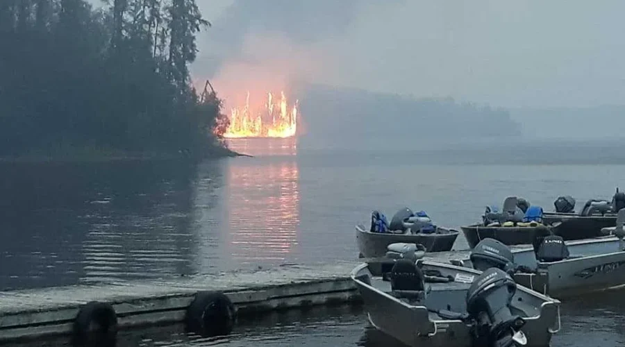 Final Forest Fire Declared Out