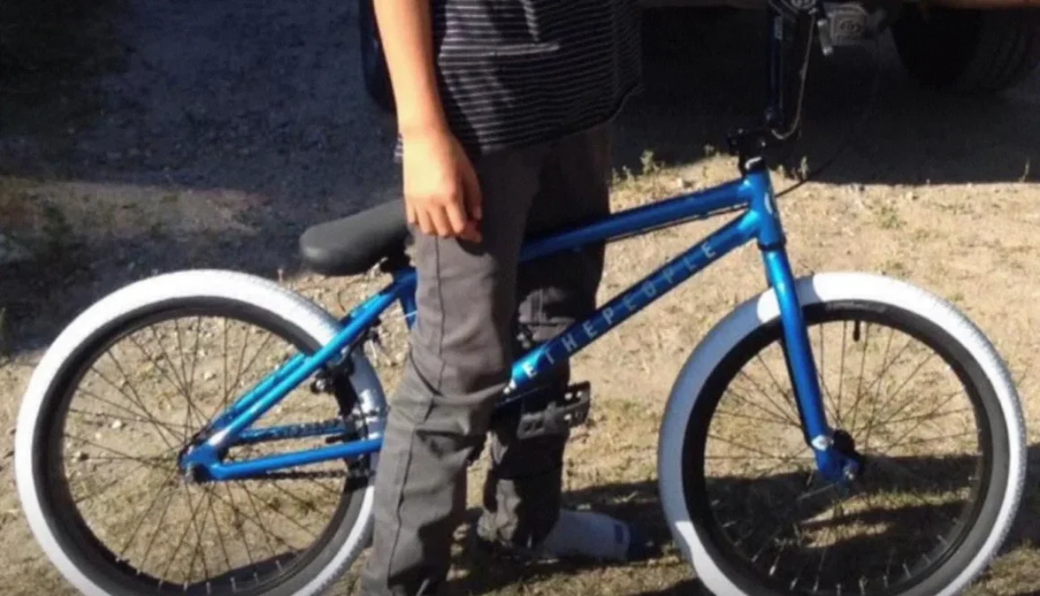 stolen_BIKE_small-1