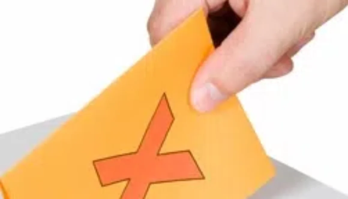 vote-1