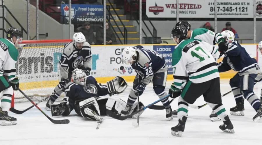 Ice Dogs Fall to North Stars