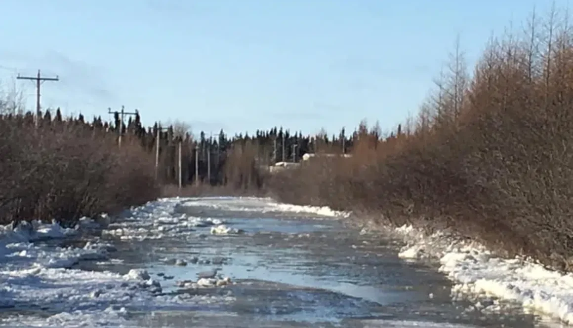 BearskinFloodingPIc-2