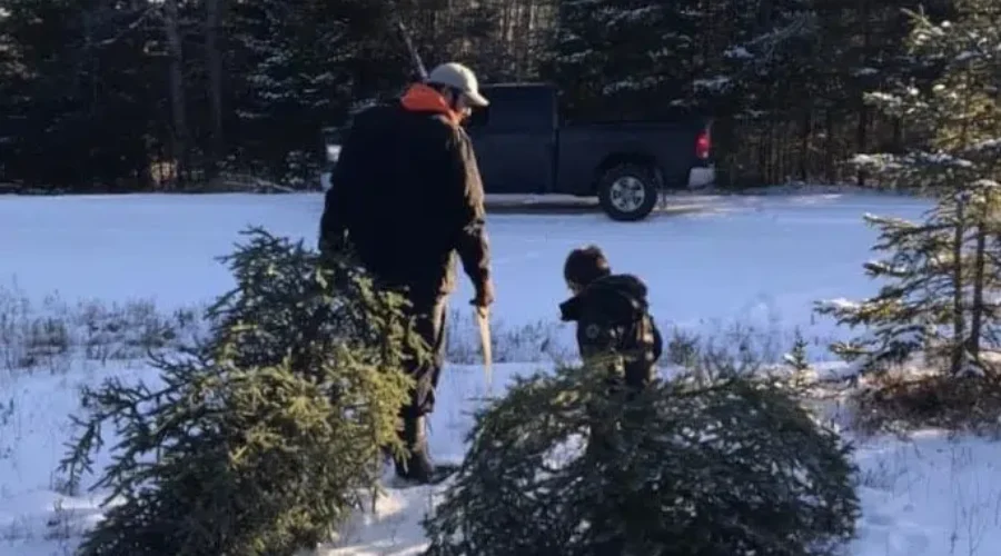 Lorraine-Nault-Now-this-is-Christmas-My-son-Robert-and-his-son-Owen-my-grandson-out-getting-their-trees-Friday-aft-in-Dryden-1 Making A Christmas Memory