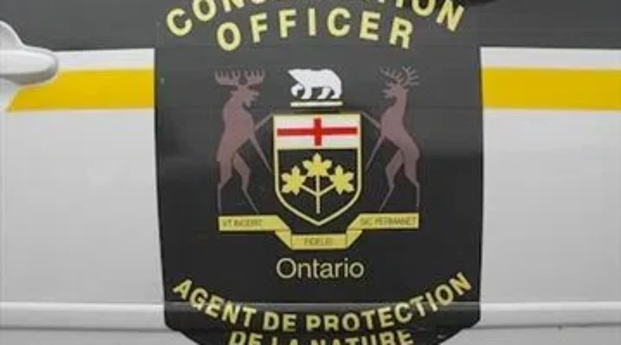 MNR20Conservation20Officer20logo_3-1 Moose Left To Rot; Public Help Needed