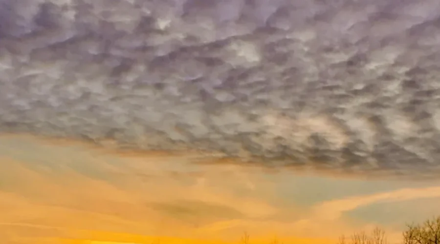 Sunset In A Marshmellow Sky