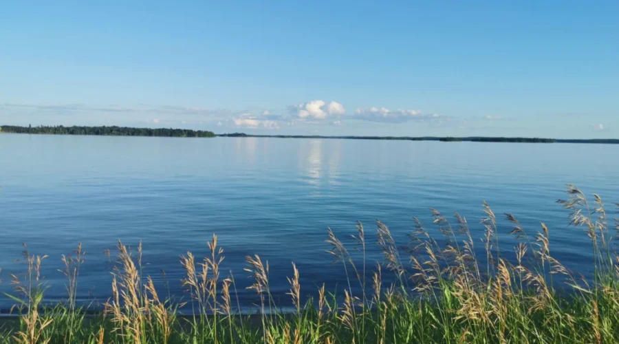A Reminder Of Summer