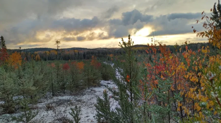Fall Hanging On In Sunset Country