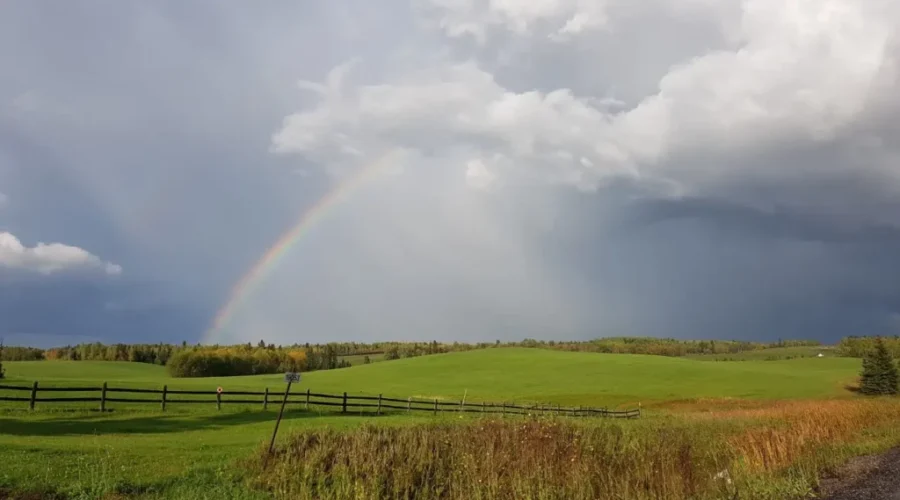 Photo-by-Sheila-Felske-Oxdrift-Anyone-else-dreaming-today-of-Summer-1 Oxdrift
