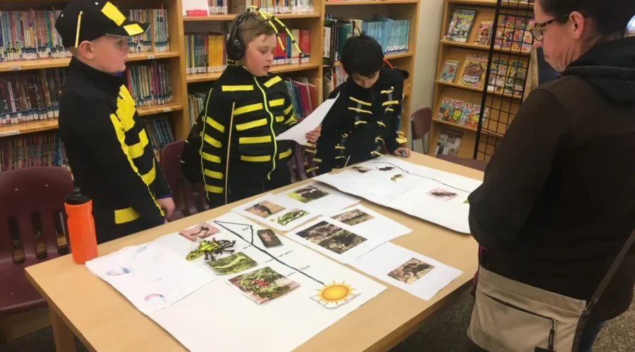 Wasps-1-1 New Prospect Students Studying Wasp Benefits
