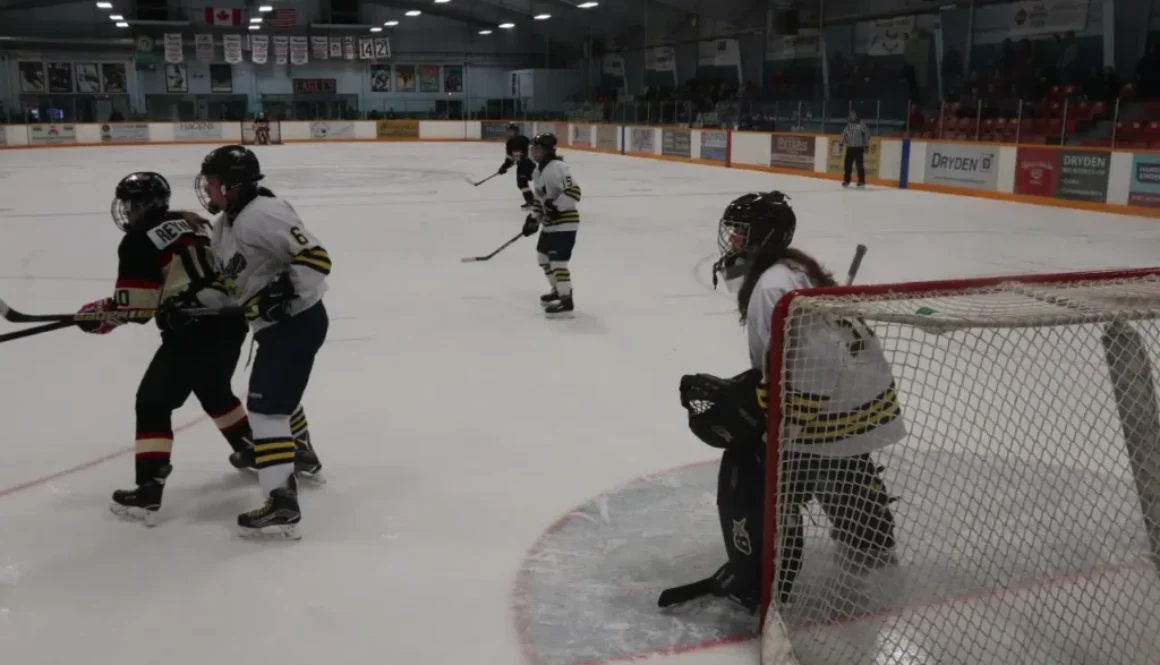hock2-1-1