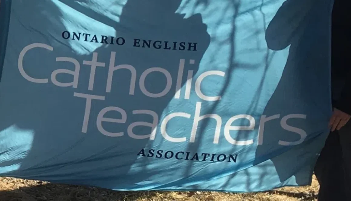 oecta-flag-800x450-2