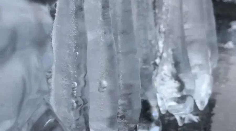Frozen In Time