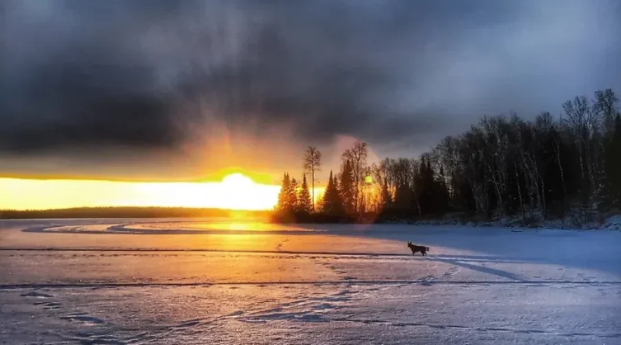 We Live, Work And Play – This Is Sunset Country