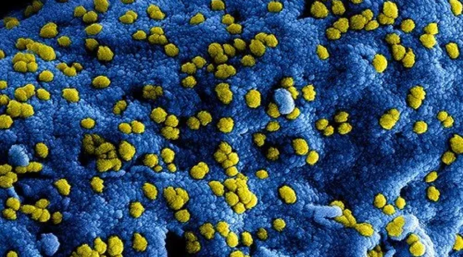 14702510680_0eb92ffb11-e1580060919350-1 Low Risk Of Coronavirus Outbreak: Officials