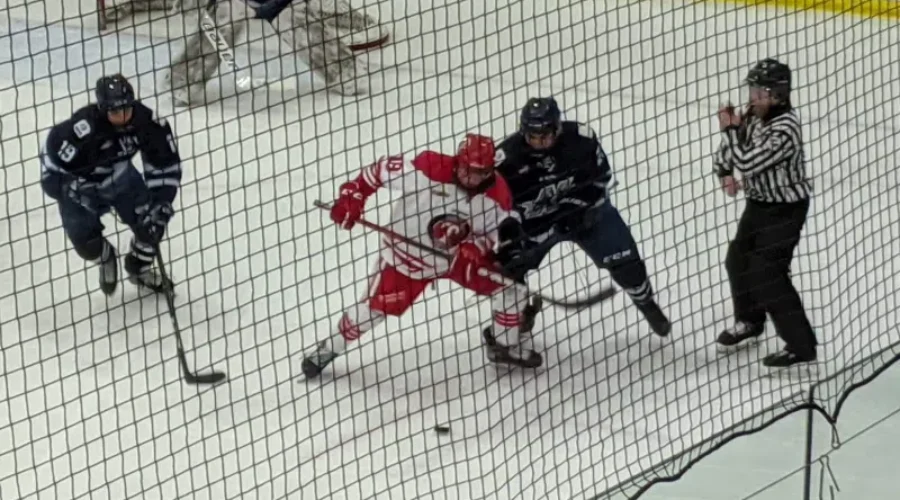 28CD5921-5089-4F49-8F89-1DA2C0872035-800x450-2 Thistles Drop Two Games On Home Ice